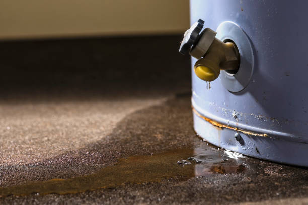 Best Mold removal after water damage  in Seacliff, CA