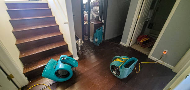 Best Flood restoration services  in Seacliff, CA