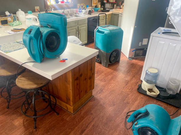 Best Water damage repair service  in Seacliff, CA
