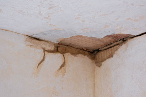 Best Water damage restoration near me  in Seacliff, CA