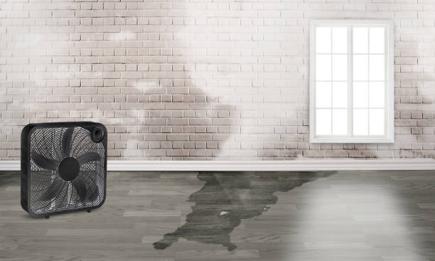 Best 24-hour water damage restoration  in Seacliff, CA