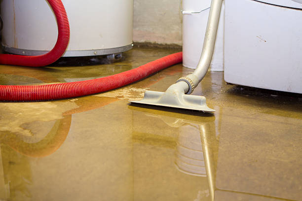 Best Mold removal after water damage  in Seacliff, CA
