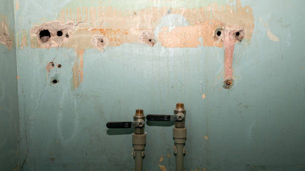 Best Water damage restoration company  in Seacliff, CA