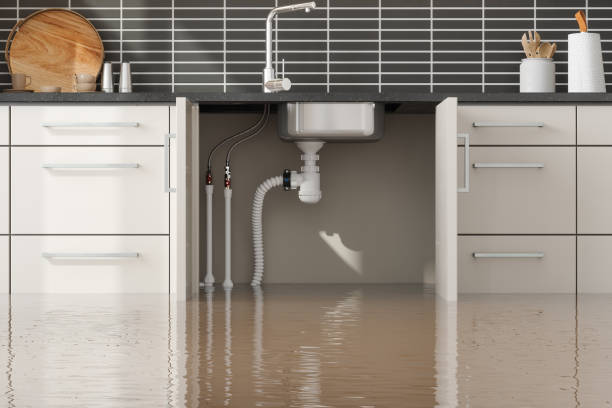 Best Water damage restoration near me  in Seacliff, CA