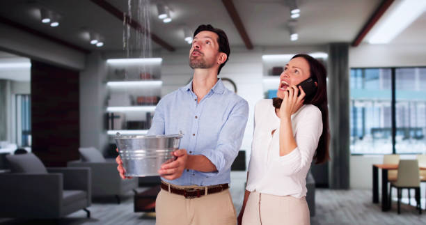  Seacliff, CA Water damage restoration Pros