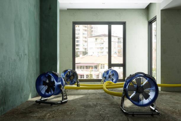 Fire Damage Restoration in Seacliff, CA