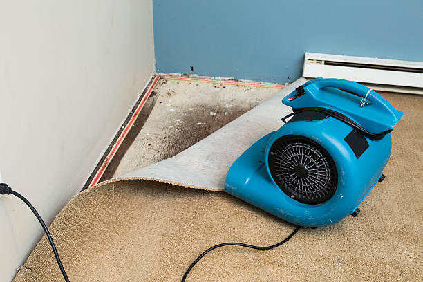 Professional Water damage restoration in Seacliff, CA